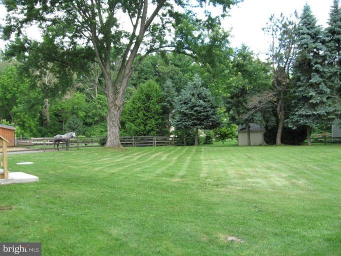 5599 Telegraph Road Elkton, MD 21921 - Photo 18 of 20 Back yard