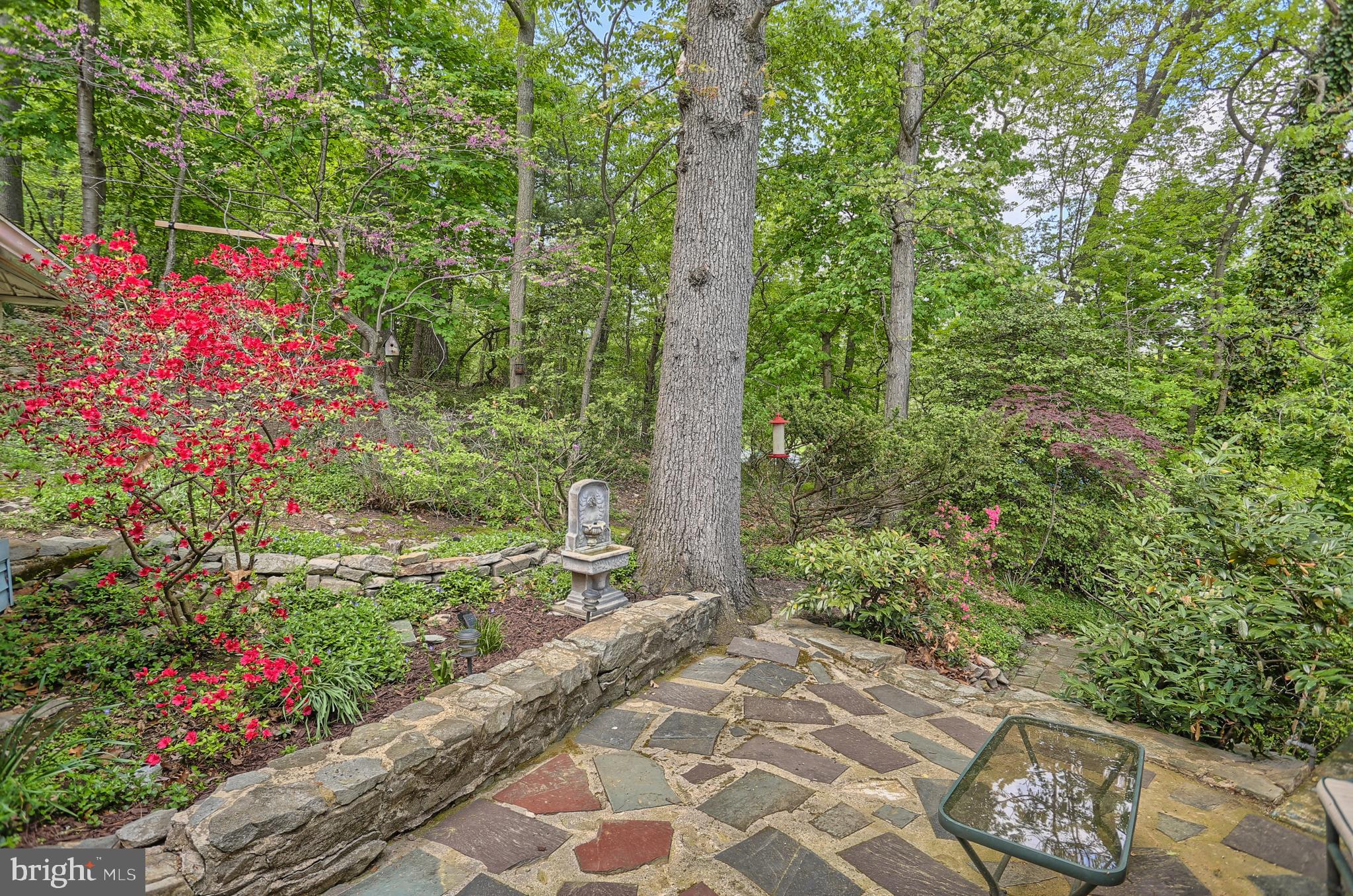 1647 Ridgewood Road York, PA 17406 - Photo 39 of 45 Gallery Image 39