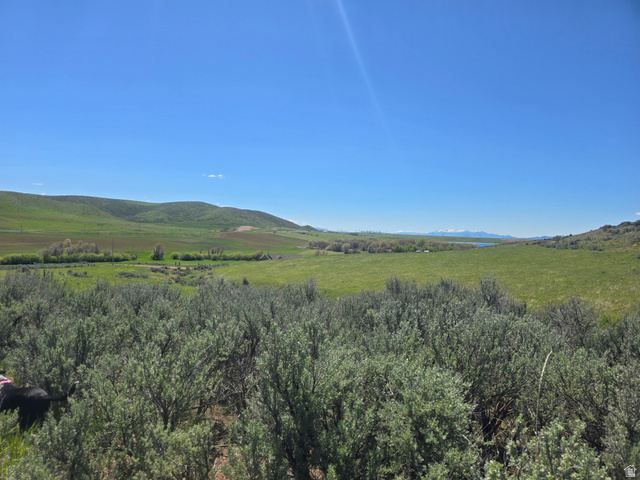 8400 North Treasurton Road Preston, ID 83263 - Photo 1 of 13 Expansive green landscape with rolling hills and a distant body of water