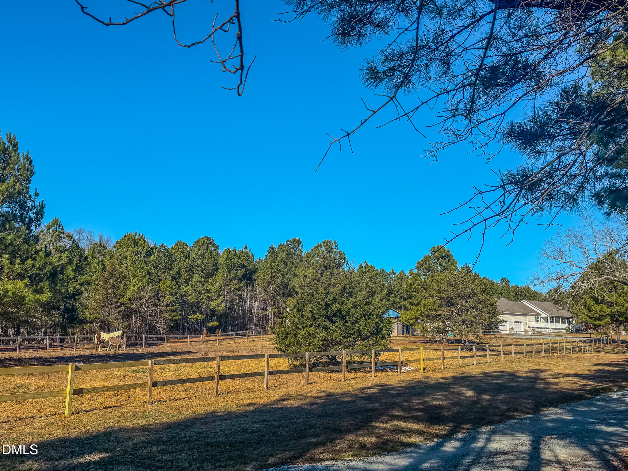 125 Ninovan Place Rougemont, NC 27572 - Photo 9 of 57 7