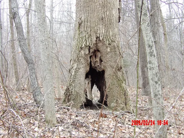 $270,000 | 6850 West County Road 25 South, Greencastle, IN 46135