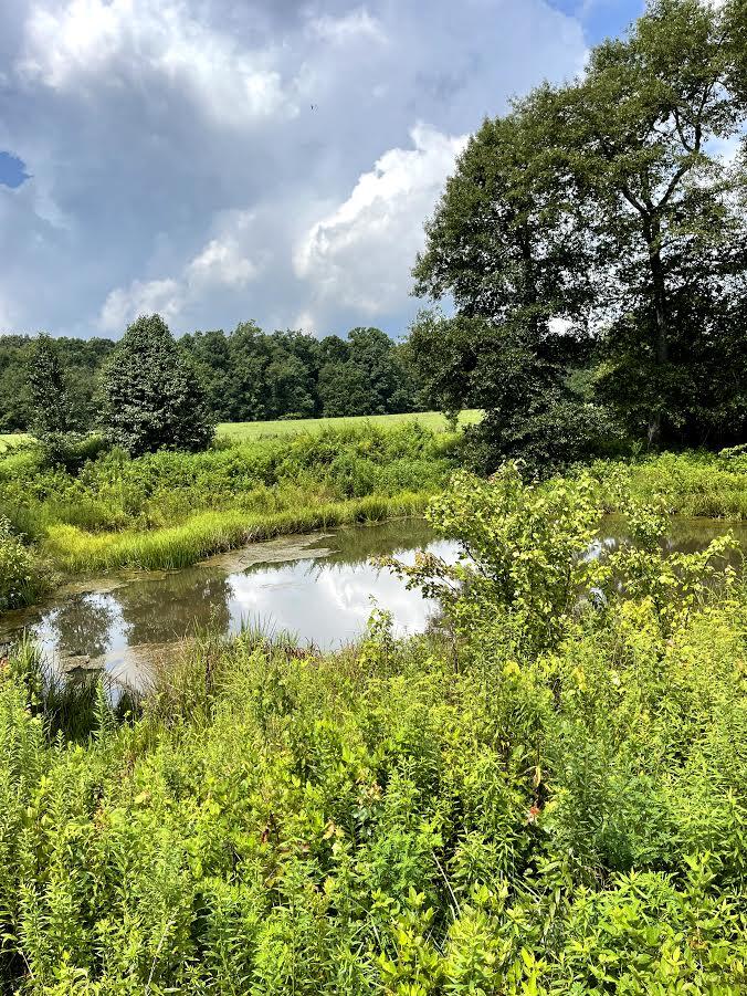Lowe Road Crossville, TN 38572 - Photo 1 of 3 Pond
