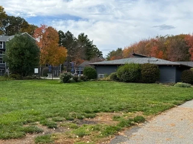 a view of a garden with a house in the background