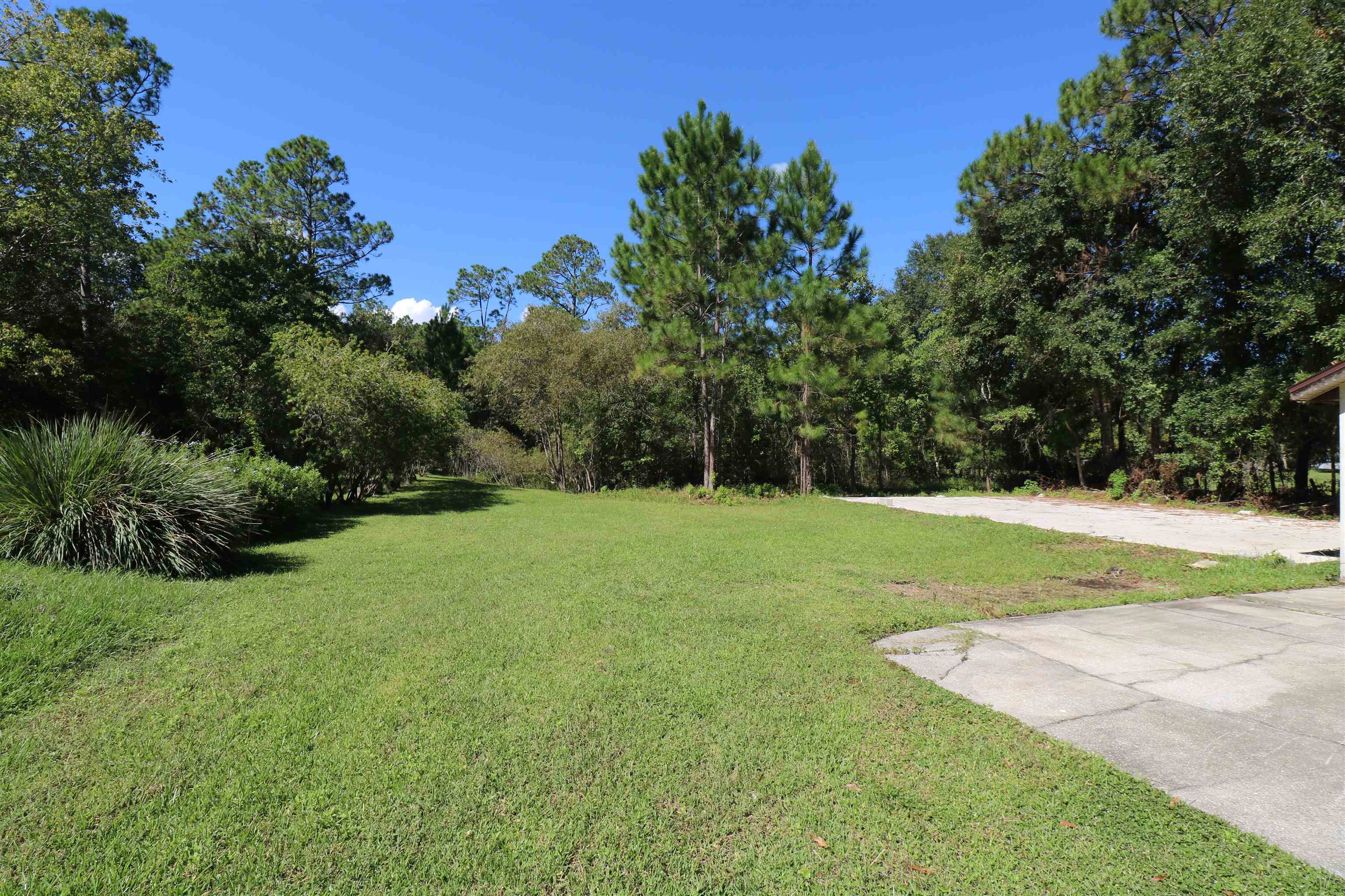 5861 Datil Pepper Road St. Augustine, FL 32086 - Photo 5 of 27 View of green lawn with view of scattered trees