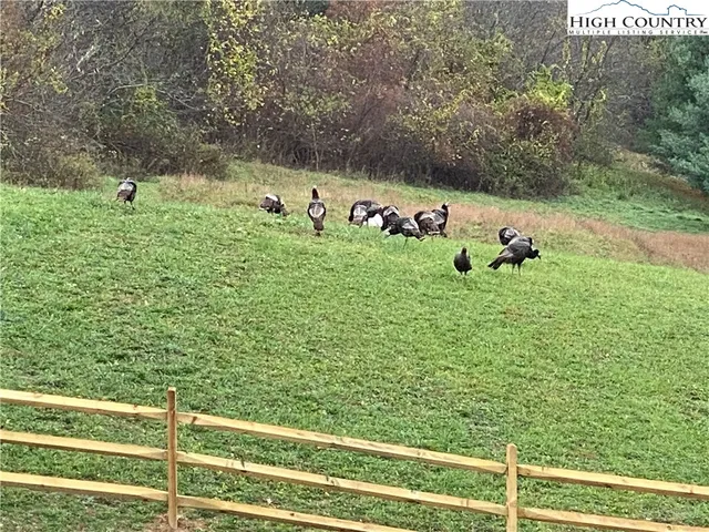 $37,500 | Lot #1 Twin Oaks Mountain Boulevard, Sparta, NC 28675