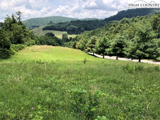 $37,500 | Lot #1 Twin Oaks Mountain Boulevard, Sparta, NC 28675