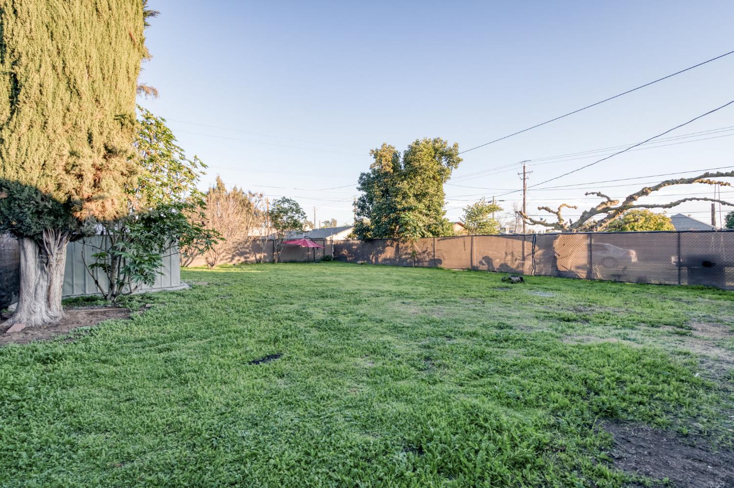 2414 Snyder Street Selma, CA 93662 - Photo 26 of 28 a view of a backyard with plants and large trees