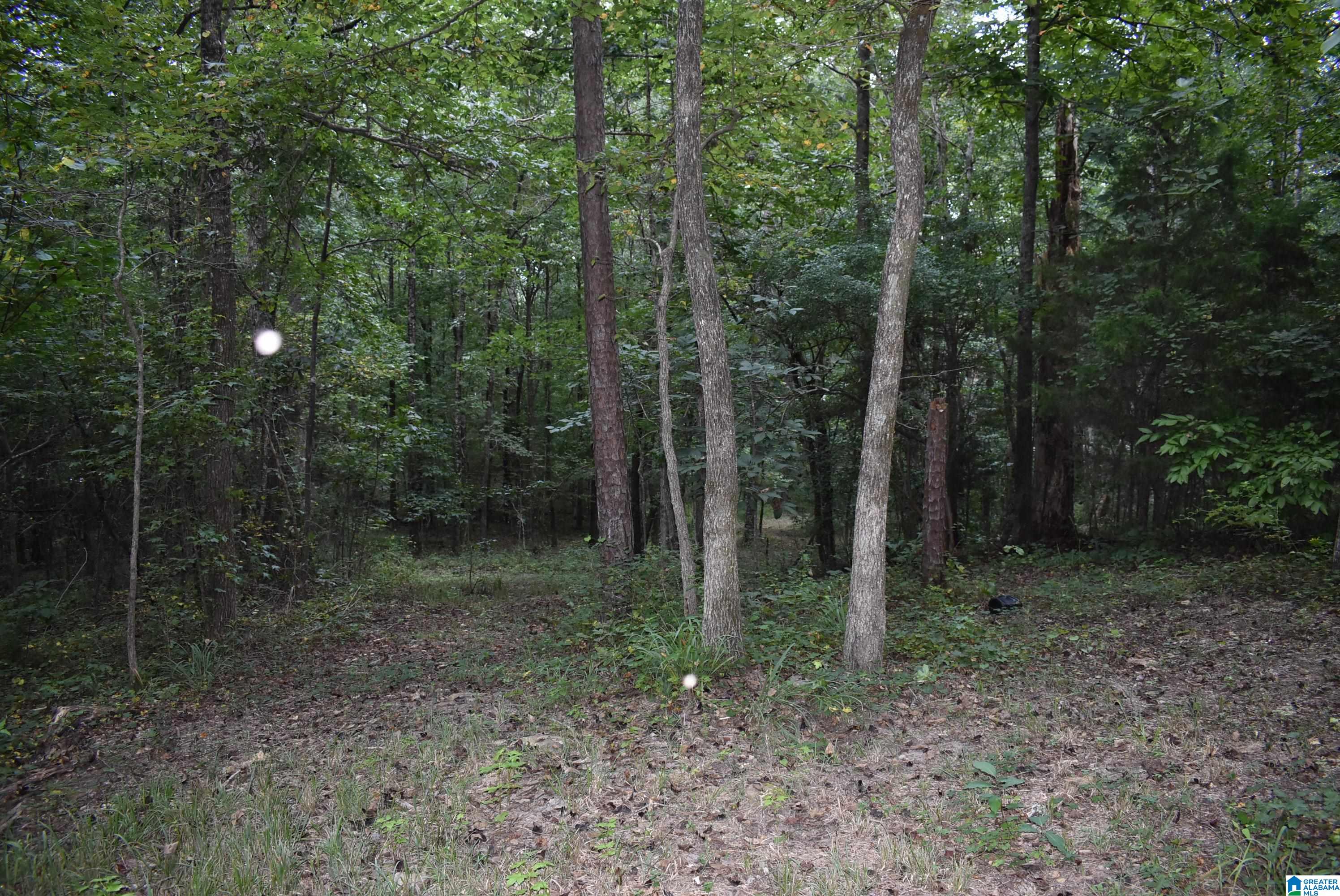 7432 Roper Road, Unit 4 Trussville, AL 35173 - Photo 19 of 19