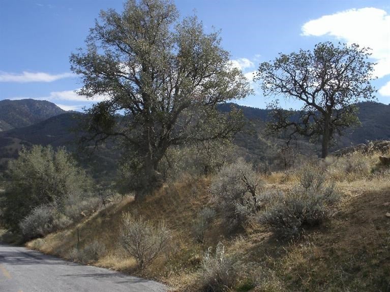 0 Zurich Tehachapi, CA 93561 - Photo 1 of 12 Gallery Image 1