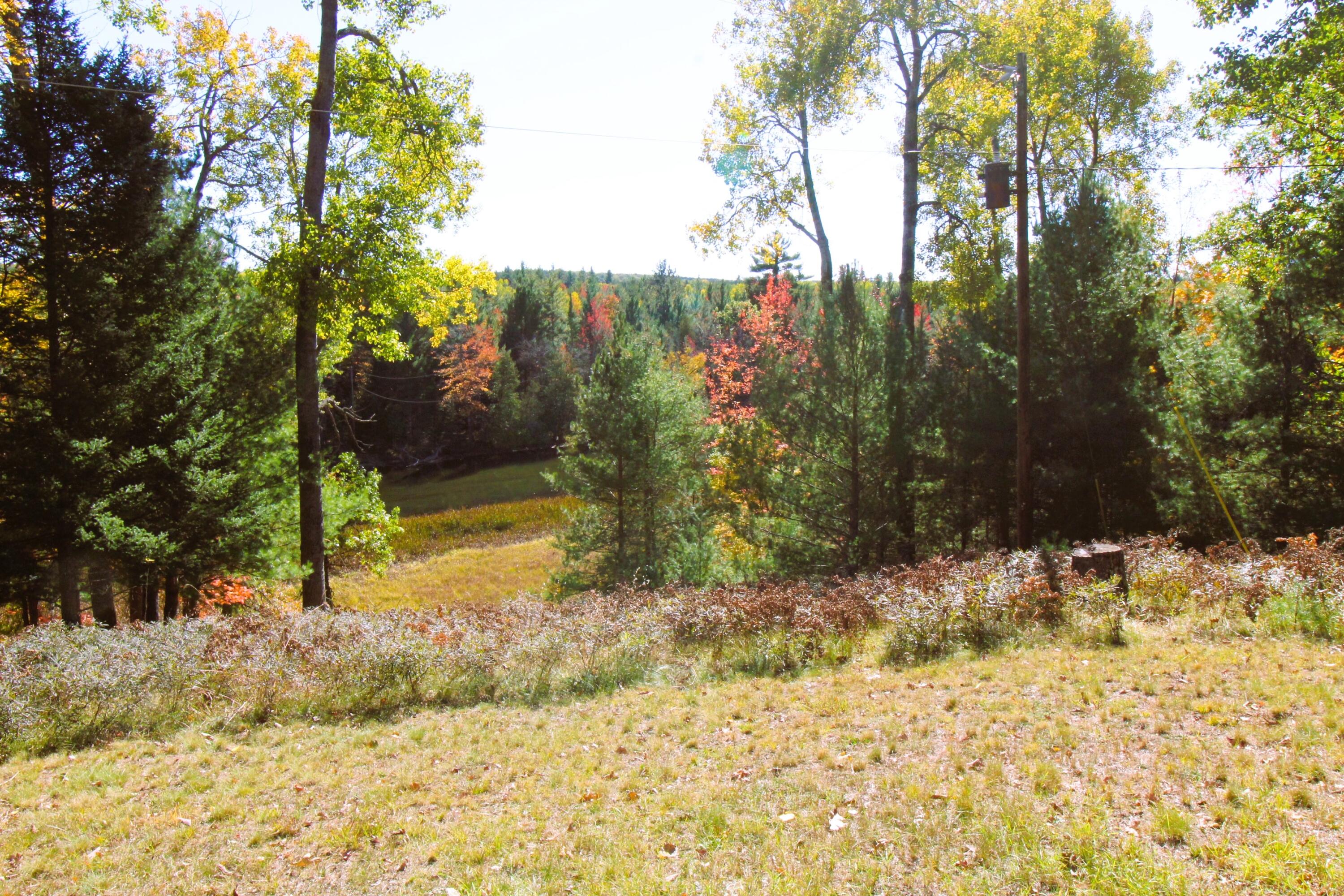8172 Conners Flat Road Grayling, MI 49738 - Photo 46 of 46 Gallery Image 46