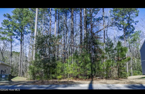 $35,000 | 2607 Twin Leaf Court Southeast, Bolivia, NC 28422