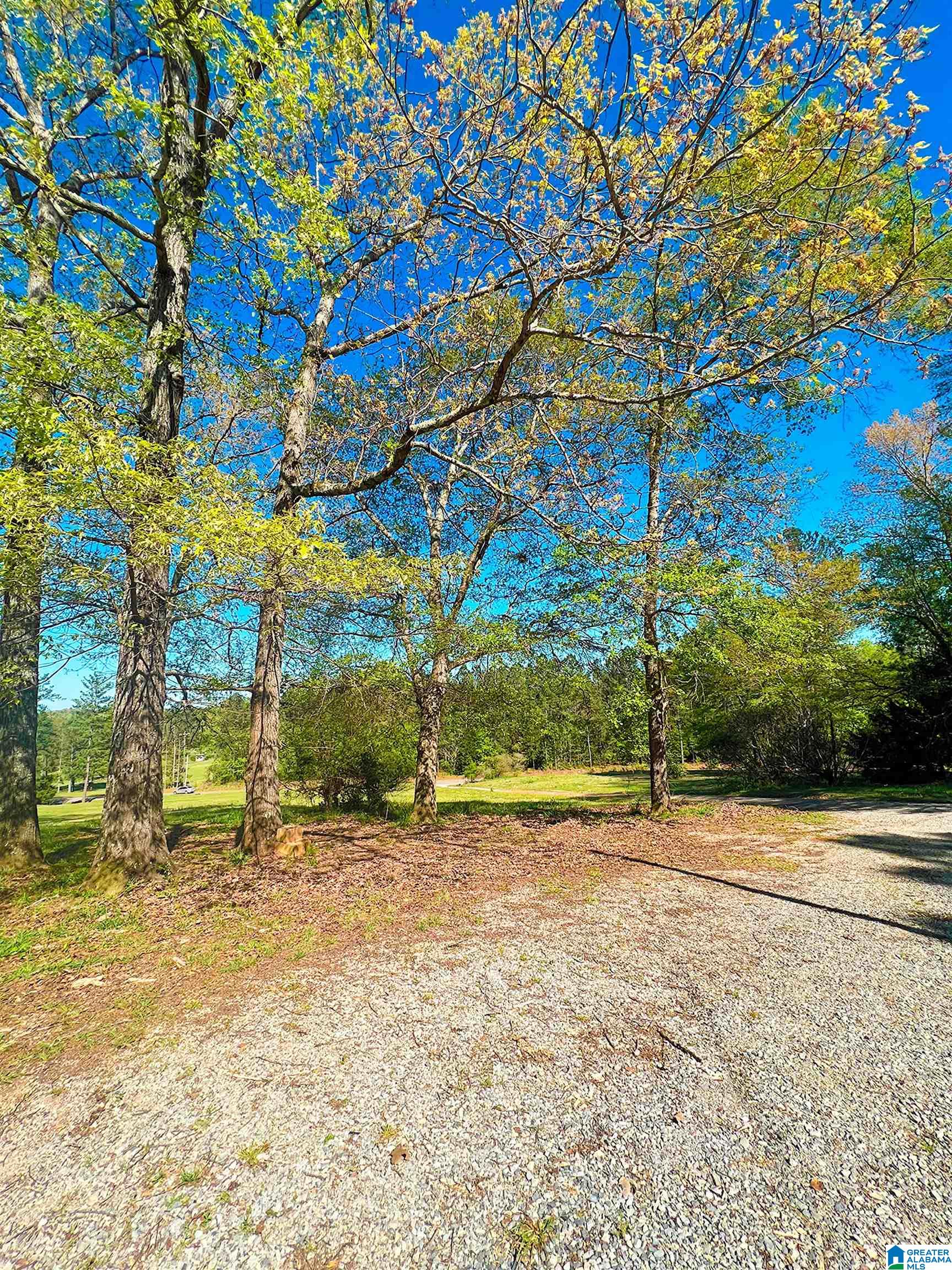 4003 Curry Station Road Munford, AL 36268 - Photo 6 of 37