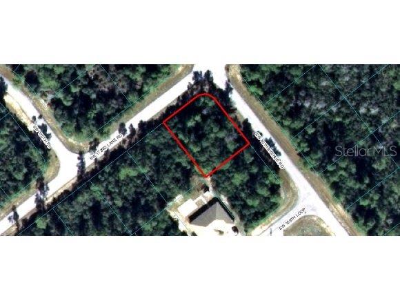 172 Southwest Ln Road Ocala, FL 34473 - Photo 1 of 1 a view of swimming pool
