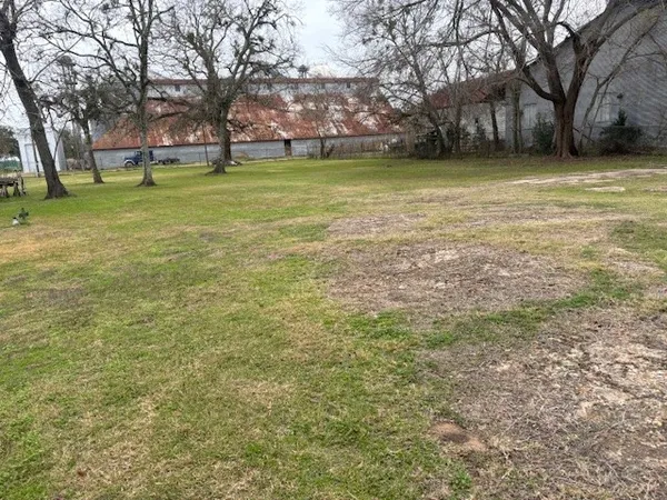 a view of open space with trees