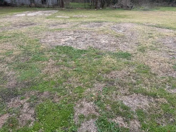 a view of outdoor space with deck and yard