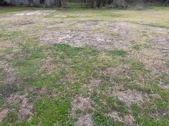 412 Williams Road Sealy, TX 77474 - Photo 3 of 5