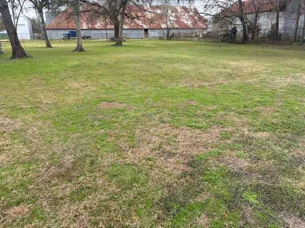 a view of a yard with a bench