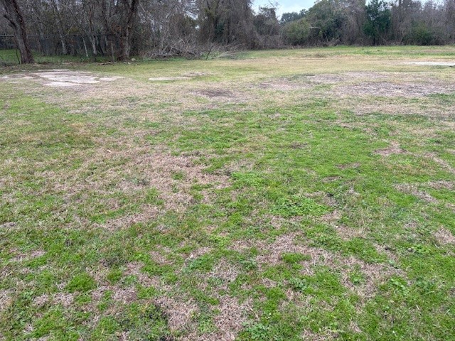 412 Williams Road Sealy, TX 77474 - Photo 5 of 5 a view of a yard with a bench
