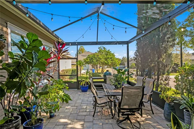 a view of a porch with a potted plant and floor to ceiling window
