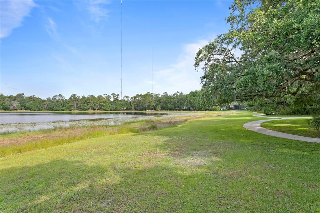 6012 Village Center Drive Lithia, FL 33547 - Photo 64 of 65