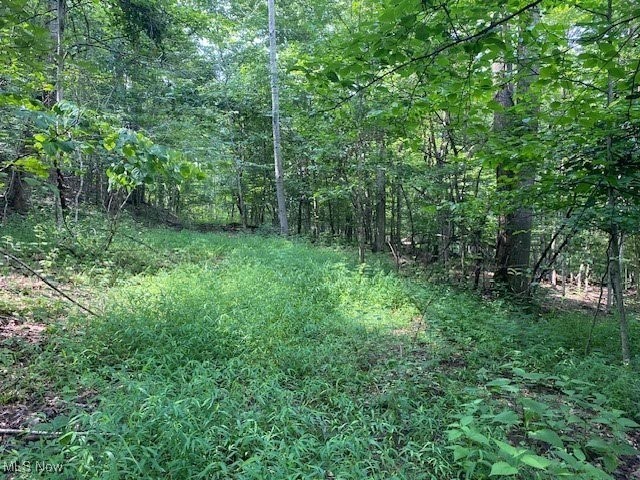 West Fork Road Spencer, WV 25276 - Photo 8 of 19