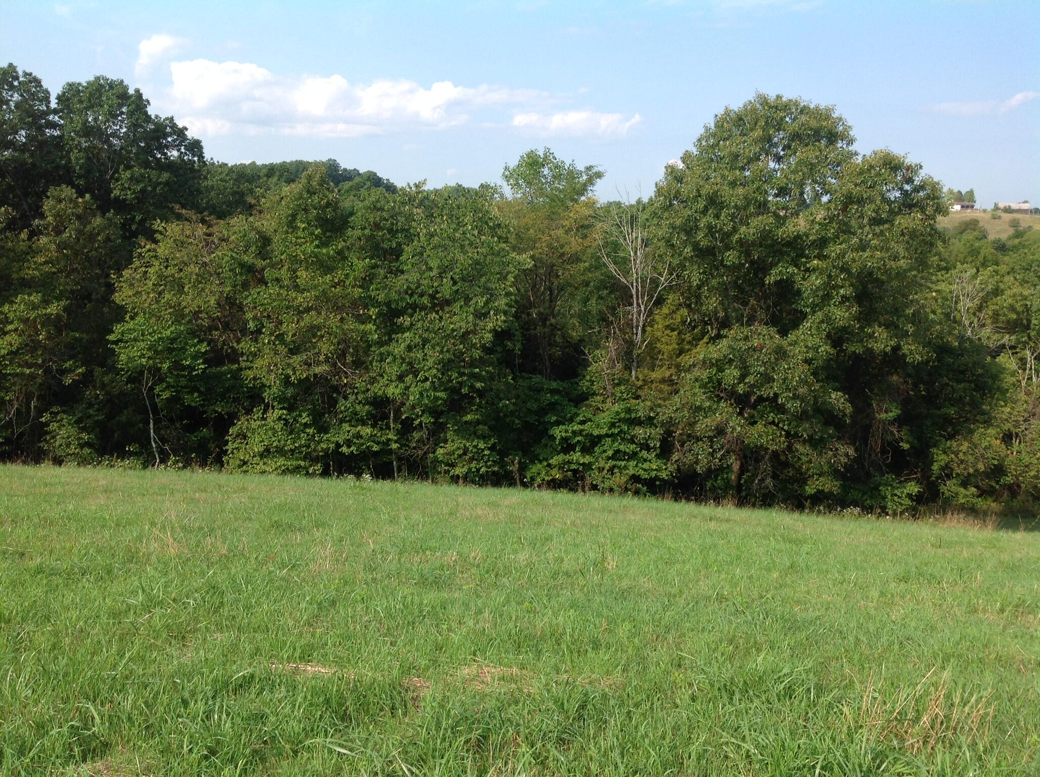 698 Ogden Ridge Road Mount Olivet, KY 41064 - Photo 10 of 12 Gallery Image 10