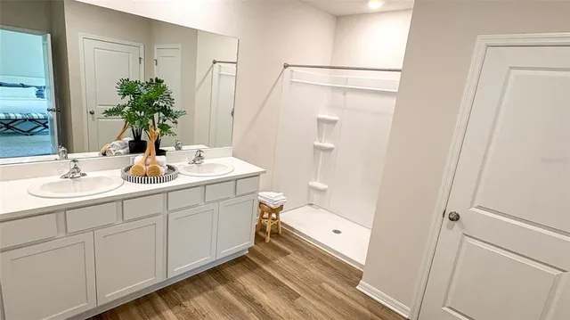 a bathroom with a sink and a mirror