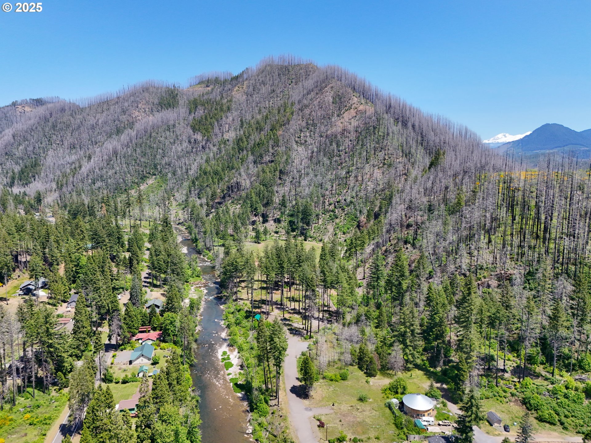 91303 Blue River Road Blue River, OR 97413 - Photo 15 of 26
