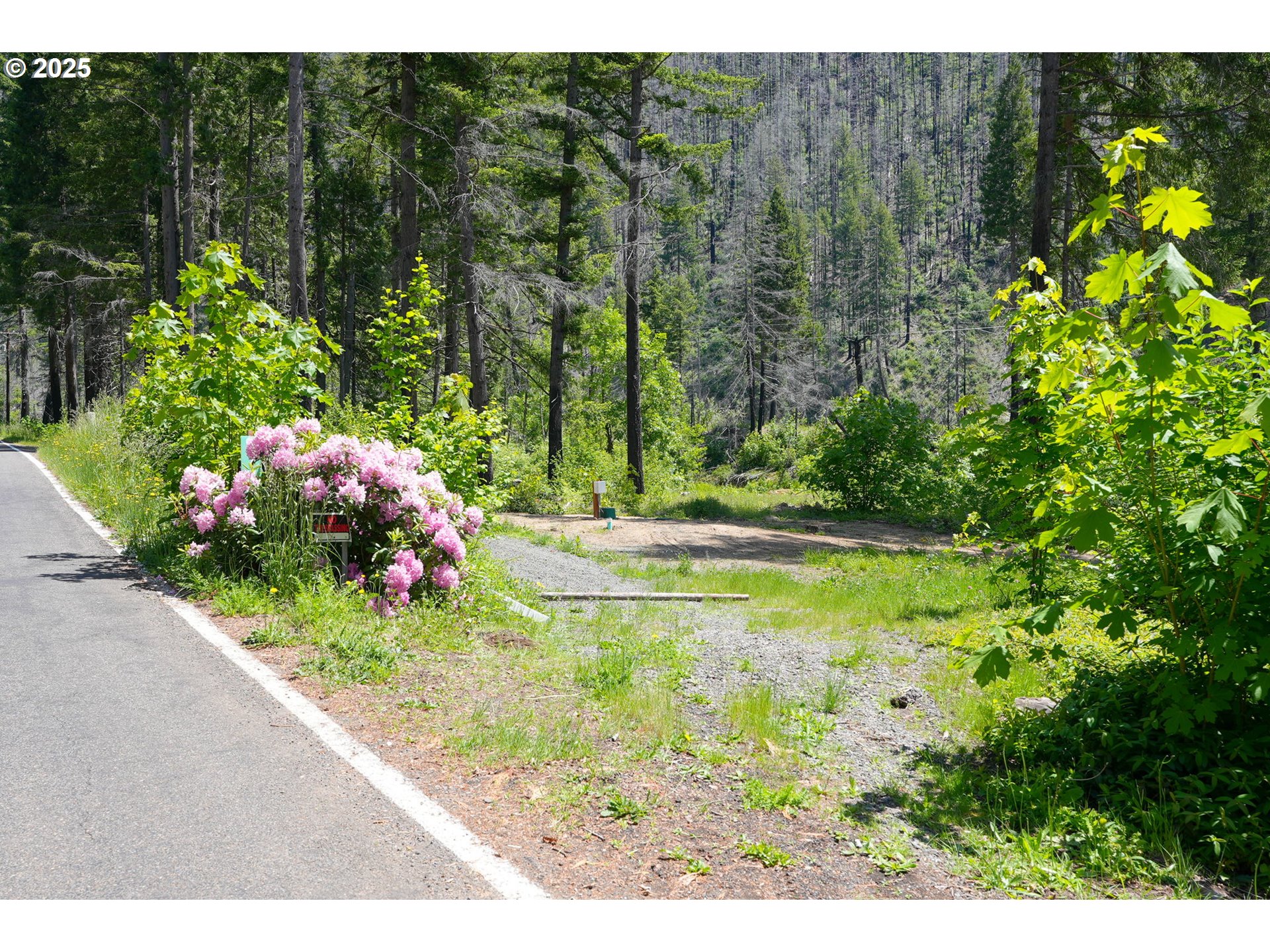 91303 Blue River Road Blue River, OR 97413 - Photo 18 of 26