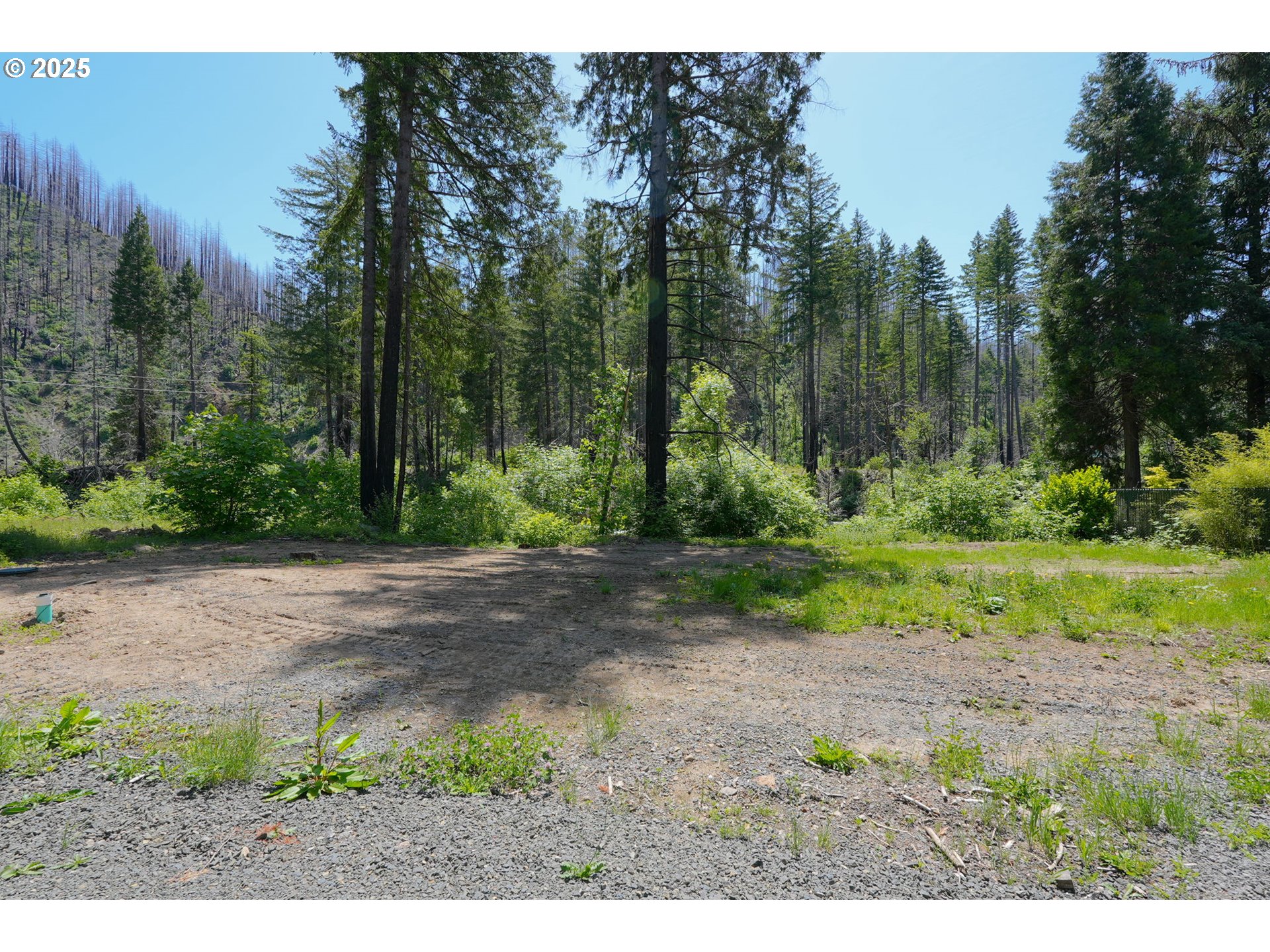 91303 Blue River Road Blue River, OR 97413 - Photo 3 of 26