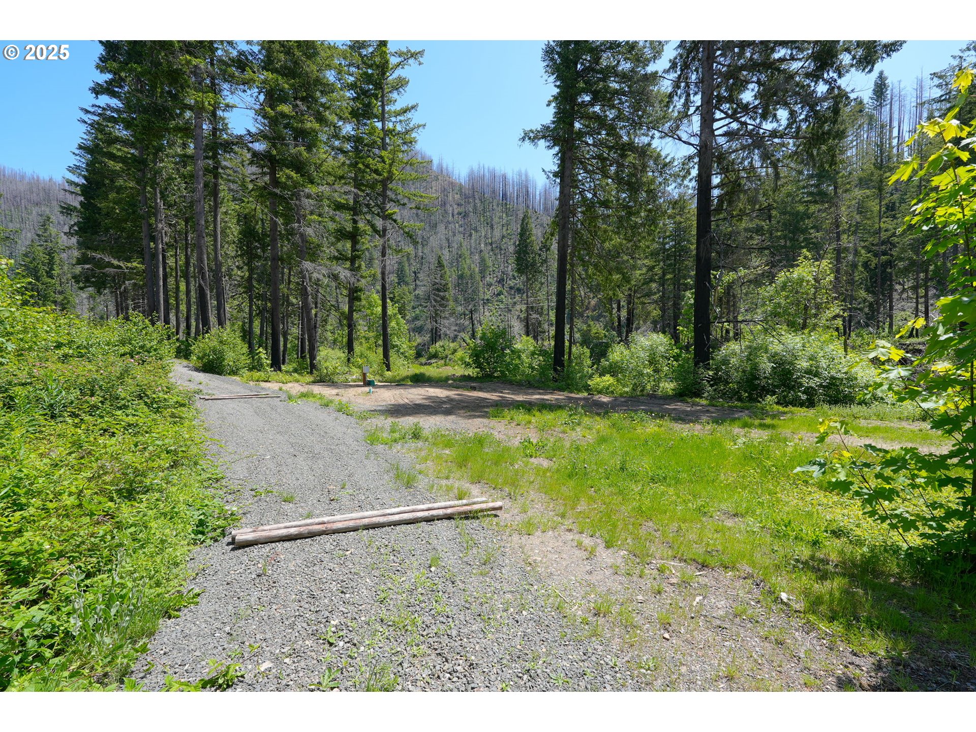 91303 Blue River Road Blue River, OR 97413 - Photo 4 of 26