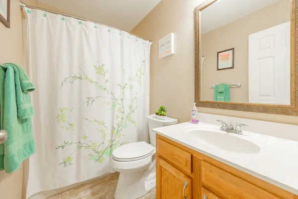 a bathroom with a sink a toilet and shower curtain