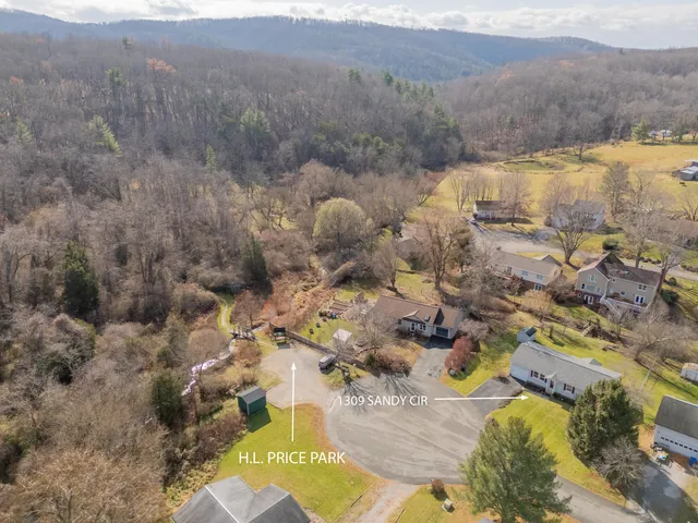 a view of a lot of trees and houses