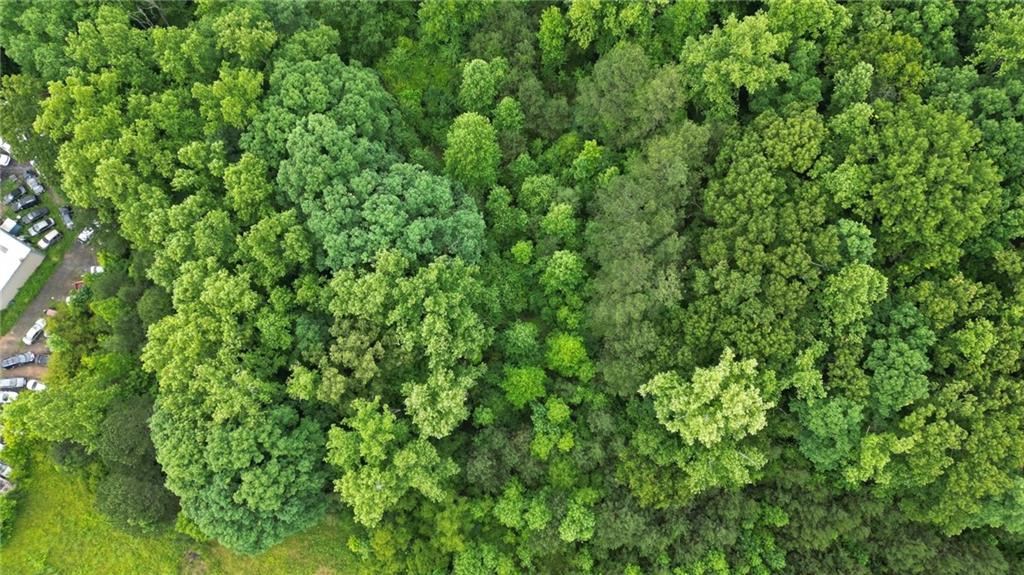 0 Alabama Road Acworth, GA 30102 - Photo 5 of 9 a view of a lush green forest
