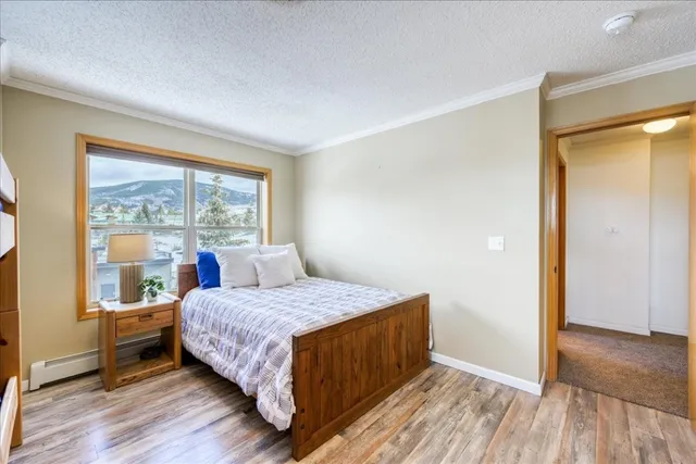 $818,000 | 746 West Anemone Trail, Unit 1, Dillon, CO 80435