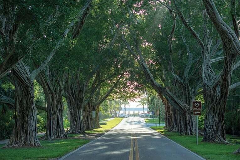 9025 Southeast Bridge Road, Unit A Hobe Sound, FL 33455 - Photo 13 of 31 Banyan Grove Bridge Rd (4)