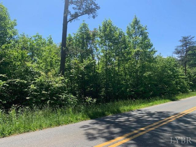 -lot 1 Morning Star Road Appomattox, VA 24522 - Photo 4 of 6 Gallery Image 4