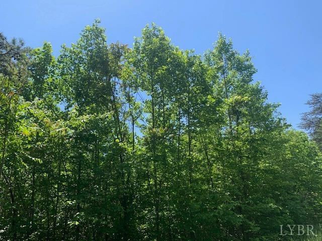 -lot 1 Morning Star Road Appomattox, VA 24522 - Photo 6 of 6 Gallery Image 6