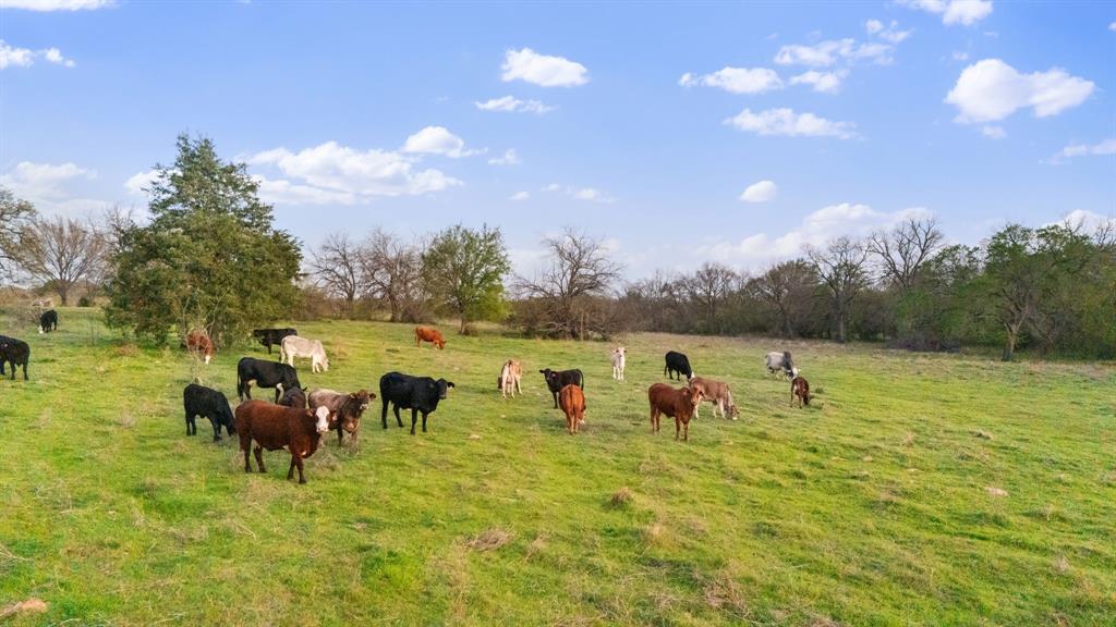 3647 County Road, Unit 265 Collinsville, TX 76233 - Photo 14 of 27