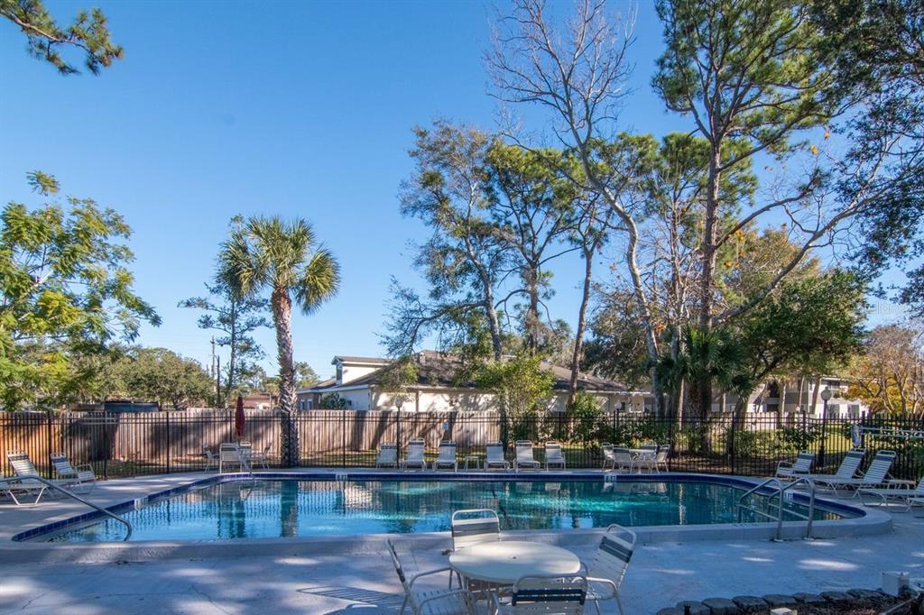 2650 Countryside Boulevard, Unit F303 Clearwater, FL 33761 - Photo 5 of 39 a backyard of a house with lots of green space