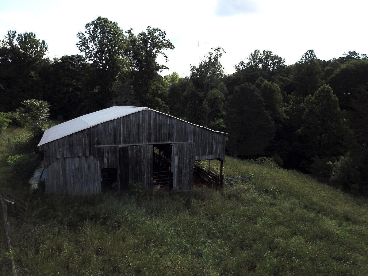 0 Burgess Road Boones Mill, VA 24065 - Photo 11 of 11 a view of backyard with trees