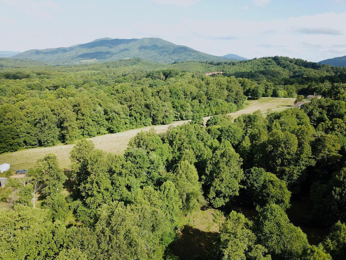 0 Burgess Road Boones Mill, VA 24065 - Photo 5 of 11 a view of a lush green field with lots of bushes