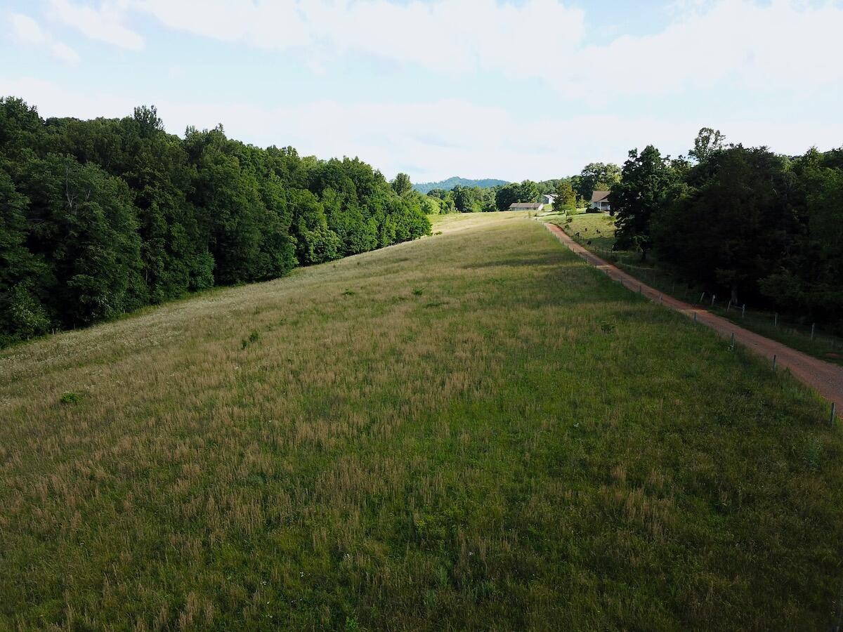 0 Burgess Road Boones Mill, VA 24065 - Photo 7 of 11 a view of a large trees with grassy field