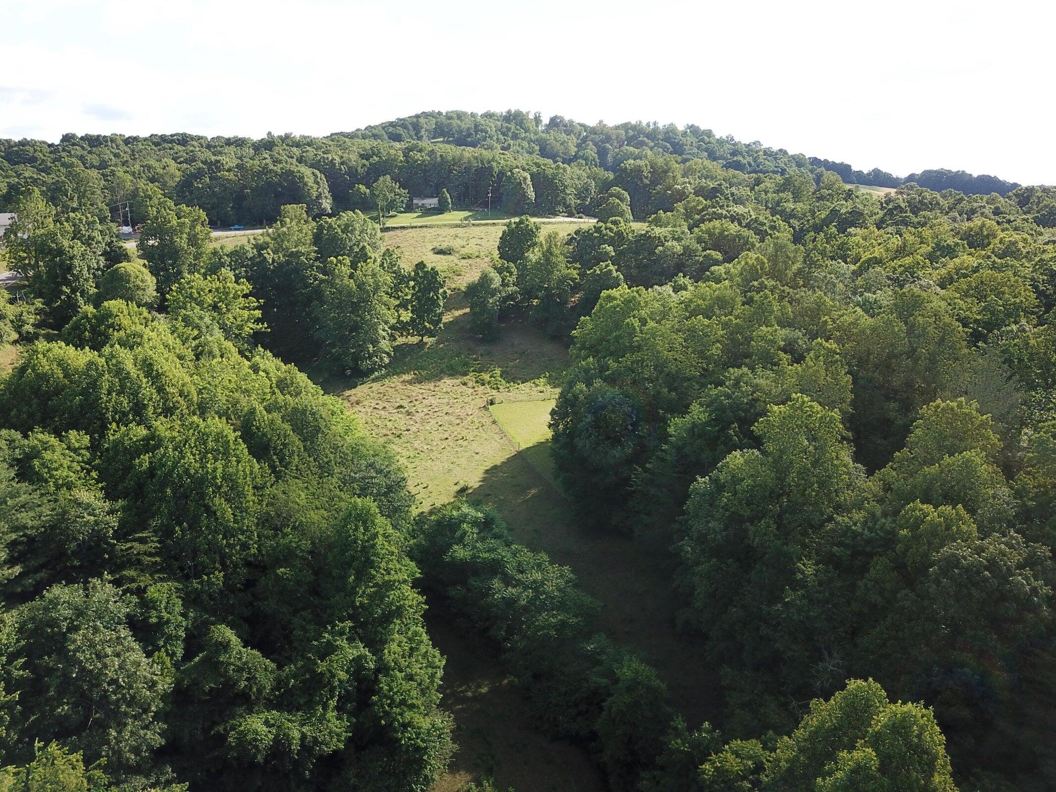 0 Burgess Road Boones Mill, VA 24065 - Photo 9 of 11 an aerial view of a house with mountain view