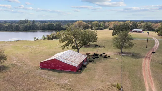 $2,100,000 | 14560 Highway 19, Lovelady, TX 75851