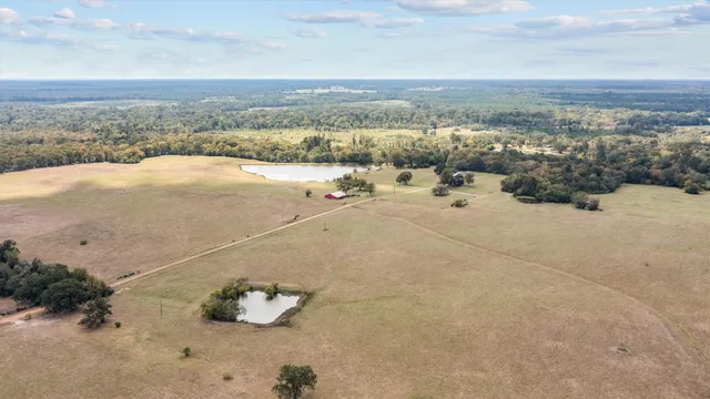 $2,100,000 | 14560 Highway 19, Lovelady, TX 75851