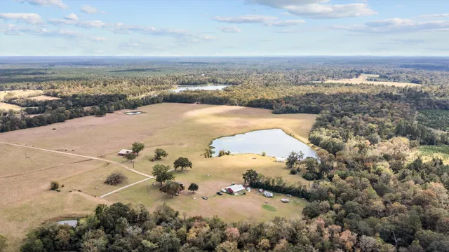 $2,100,000 | 14560 Highway 19, Lovelady, TX 75851