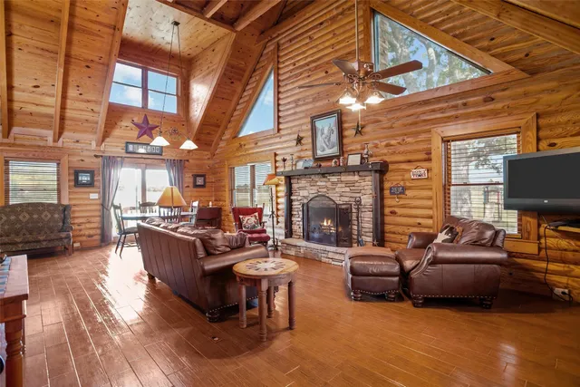 a living room with furniture windows and a fireplace