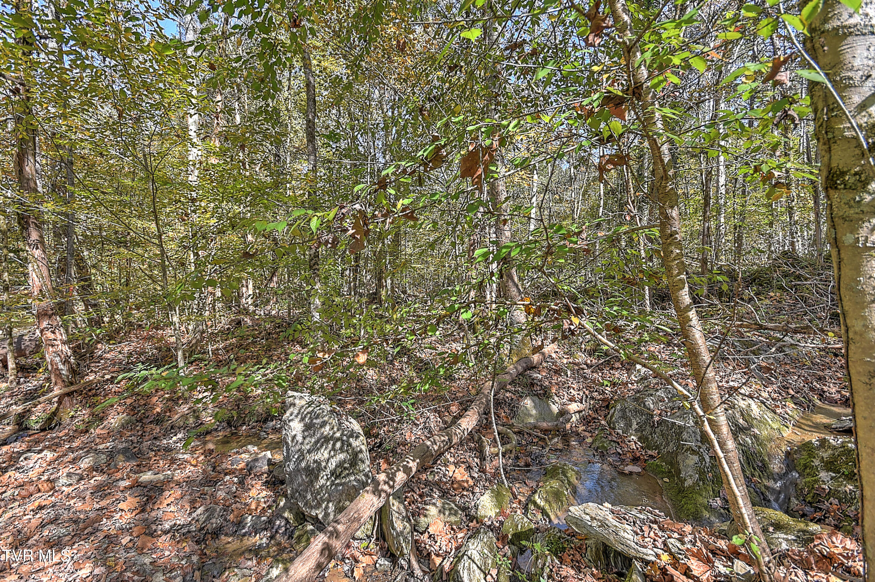 163 Pendleton Road Kingsport, TN 37664 - Photo 46 of 51 163 Pendleton CP-46