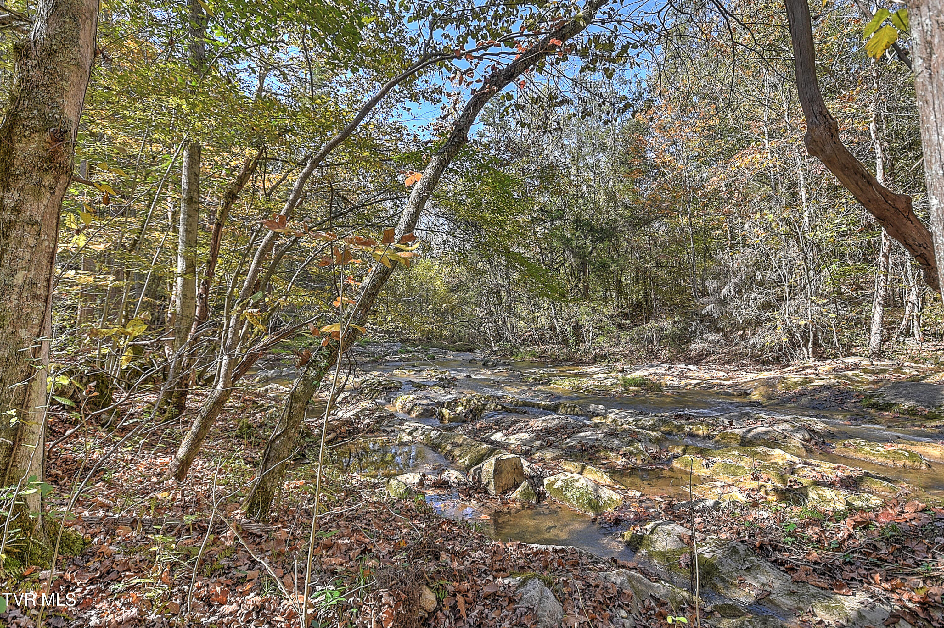 163 Pendleton Road Kingsport, TN 37664 - Photo 47 of 51 163 Pendleton CP-47